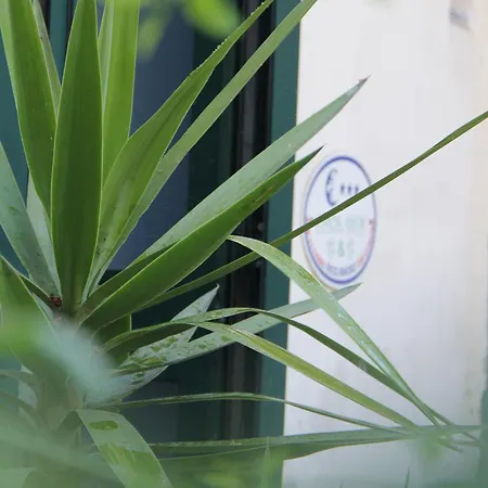 Bed and Breakfast Luna Blu 3*