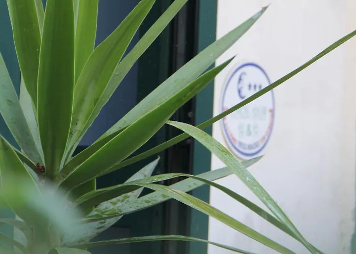 住宿加早餐酒店 月亮神蓝光住宿加早餐旅馆 3*