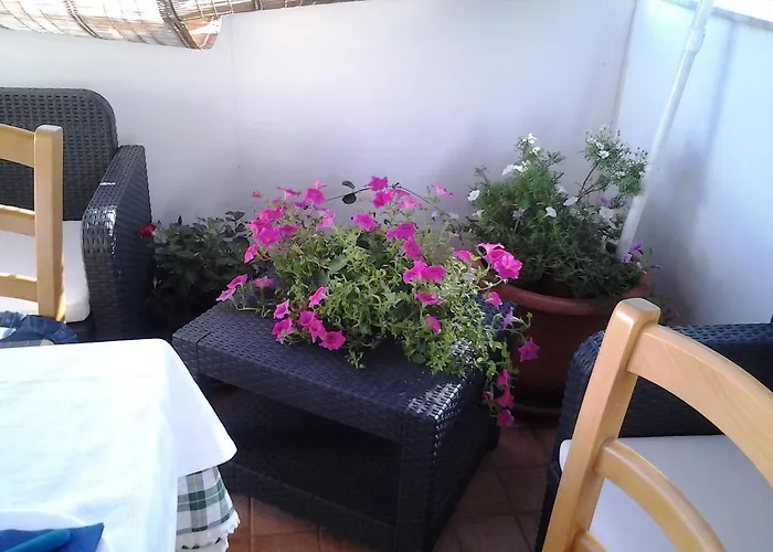 月亮神蓝光住宿加早餐旅馆